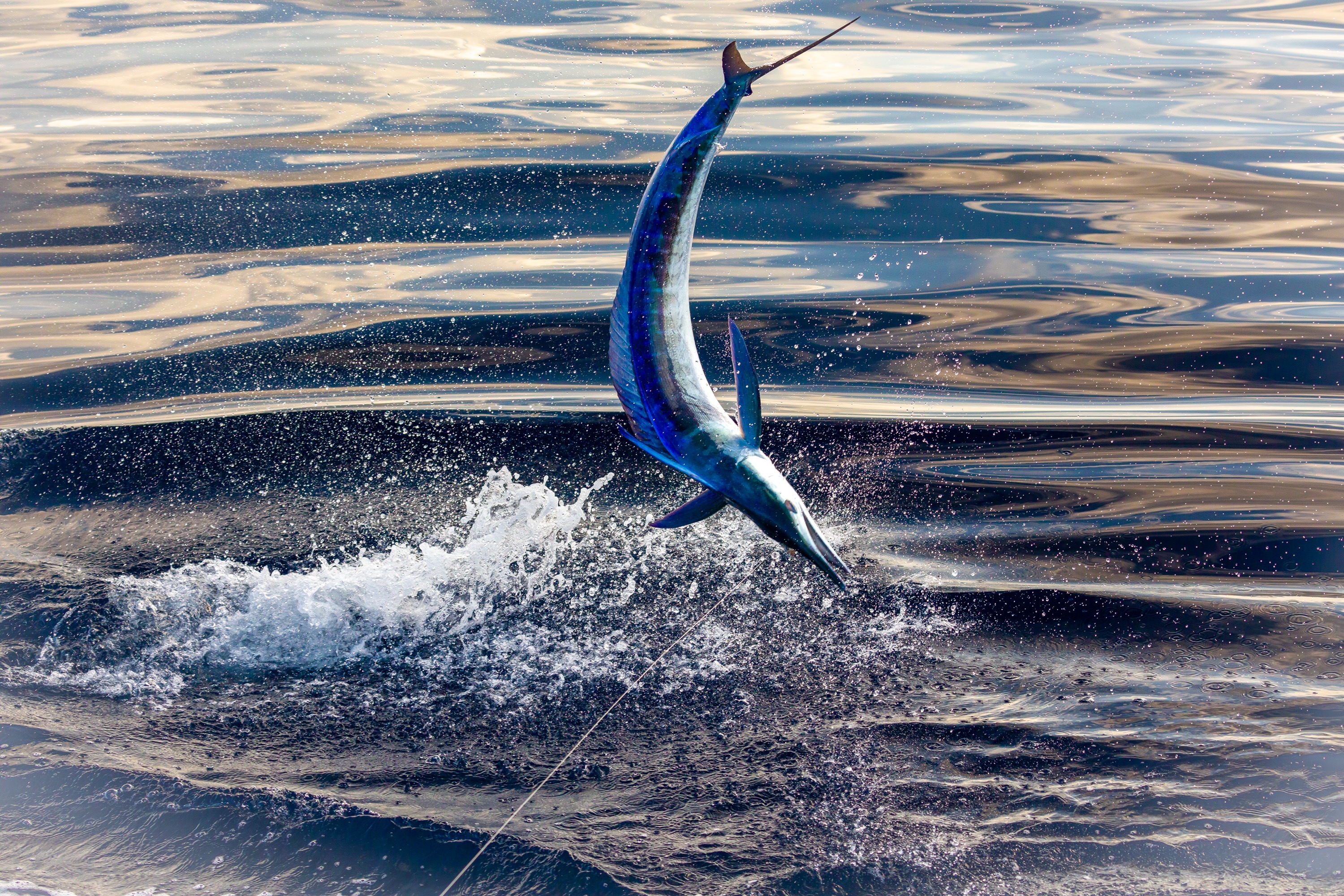 Offshore fishing grounds off the Manasquan Inlet